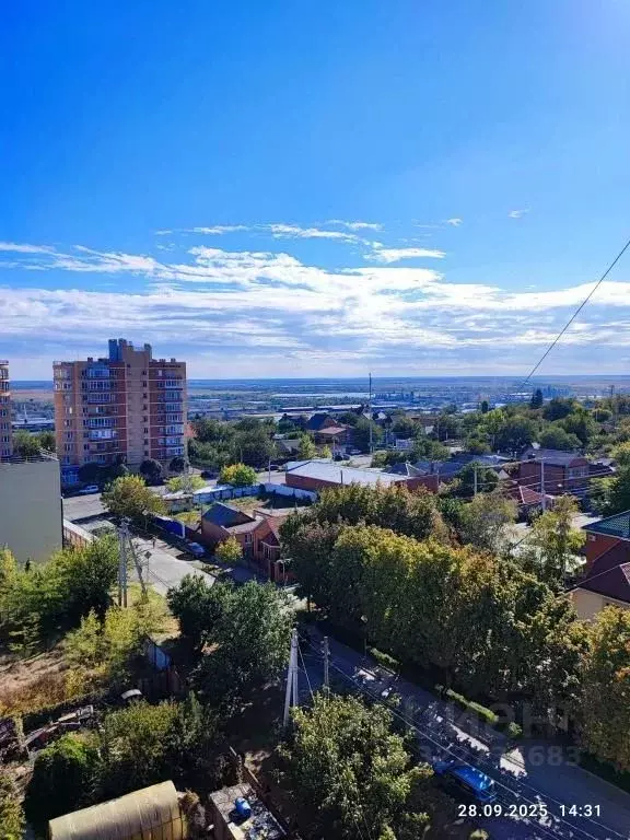 1-к кв. Ростовская область, Ростов-на-Дону 1-я Круговая ул., 91 (35.0 ... - Фото 2