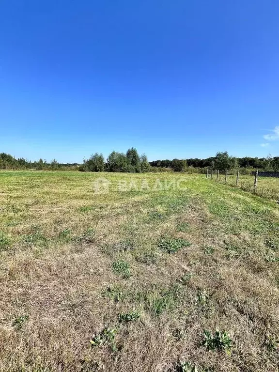 Участок в Воронежская область, Рамонь рп  (6.0 сот.) - Фото 0