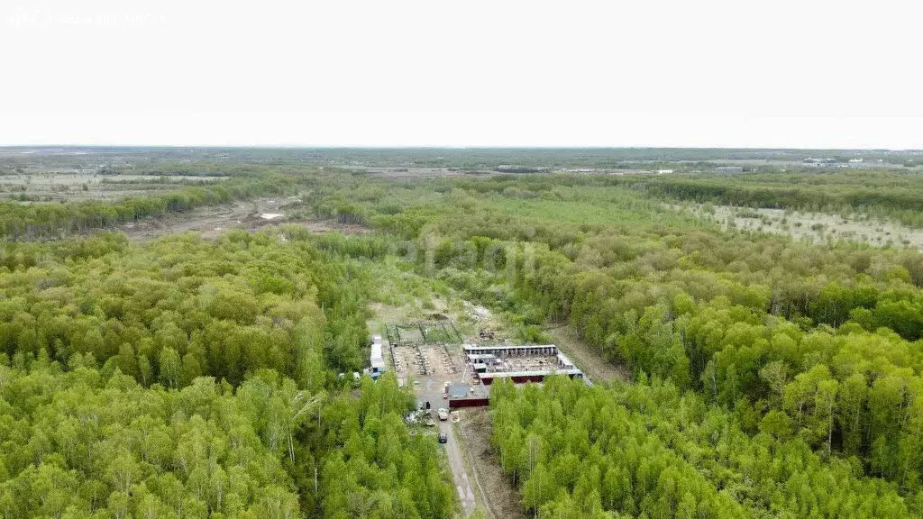 Участок в Хабаровск, садовое товарищество Виктория (18.6 м) - Фото 1