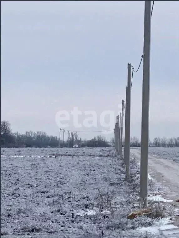 Участок в Ростовская область, Мясниковский район, Краснокрымское ... - Фото 1