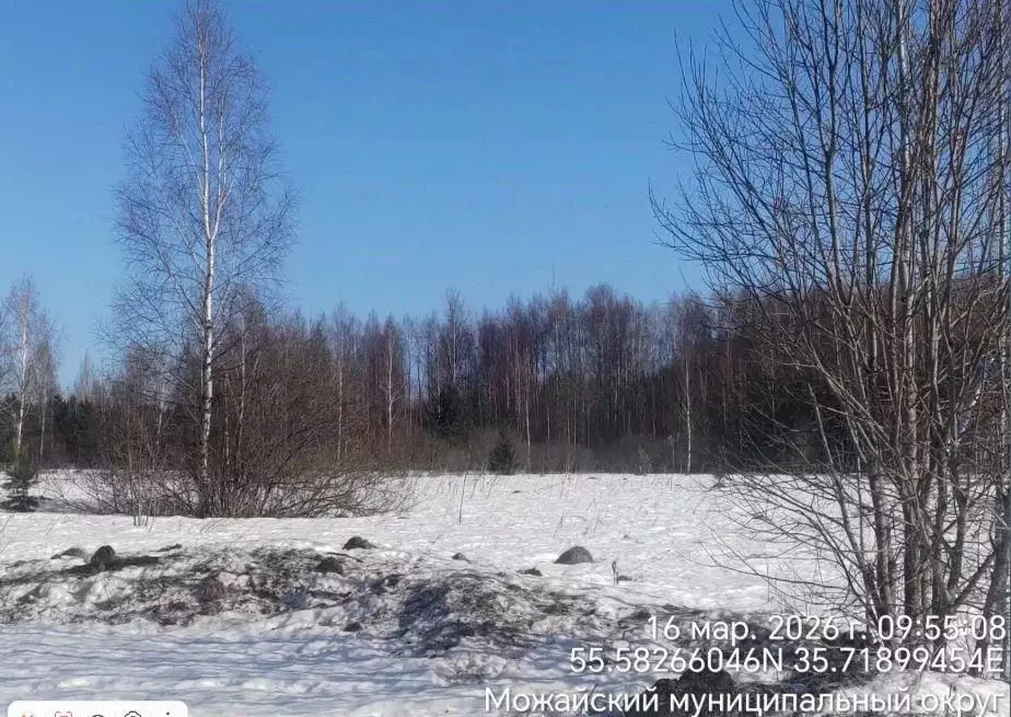 Участок в Московская область, Можайский муниципальный округ, д. ... - Фото 2