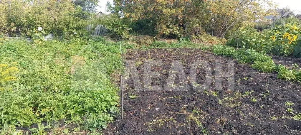 Участок в Омская область, Любинский рп ул. Южная, 49 (6.0 сот.) - Фото 1