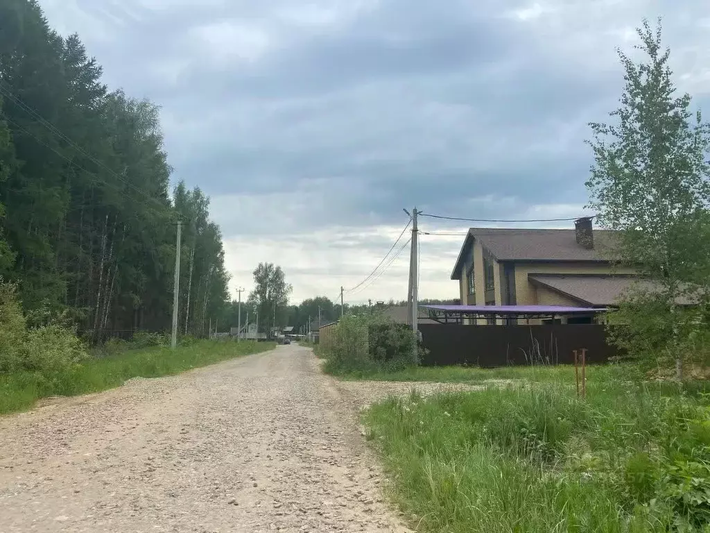 Участок в Костромская область, Красносельский район, Боровиковское ... - Фото 0