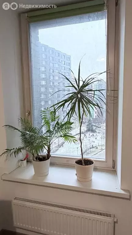 2-комнатная квартира: деревня Подолино, микрорайон Велтон Парк Новая ... - Фото 1