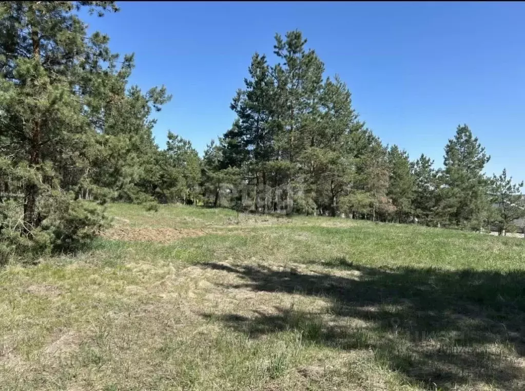 Участок в Воронежская область, Рамонский район, Яменское с/пос, д. ... - Фото 1