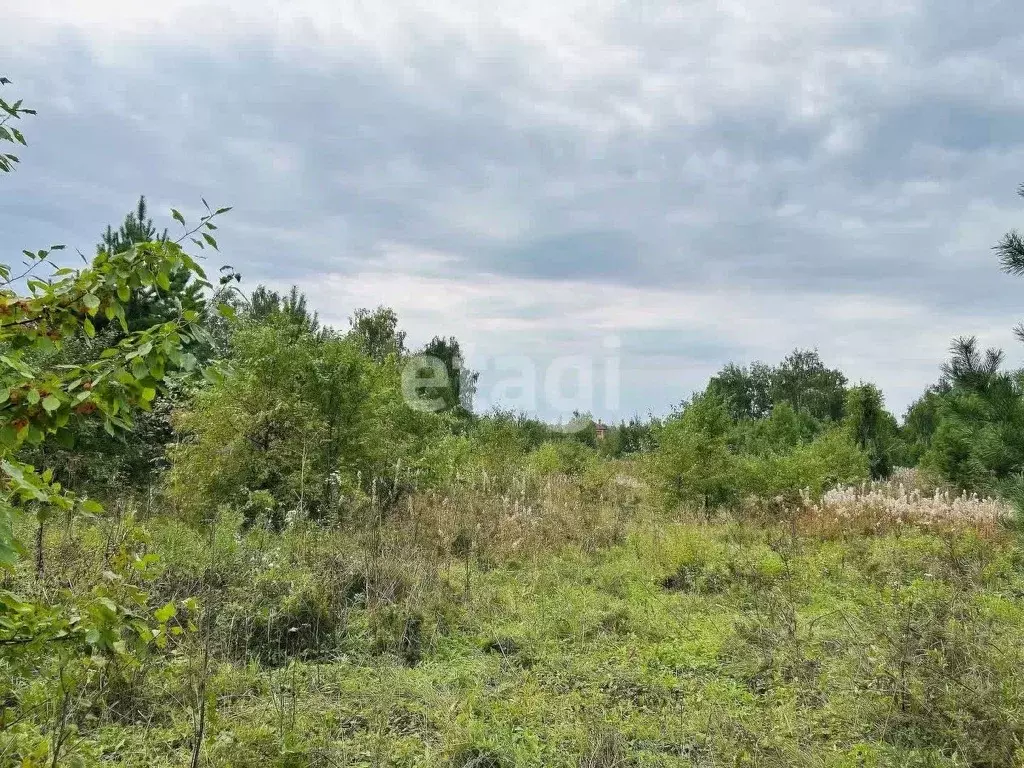 Участок в Тюменская область, Тюмень Звенящие Кедры Тюмени ДНП,  (11.0 ... - Фото 2