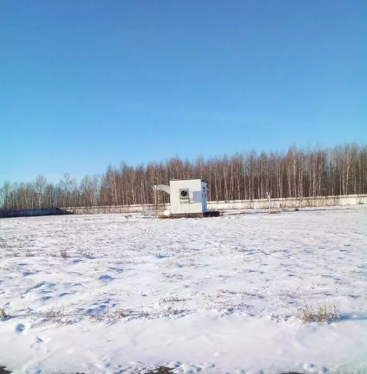 Помещение свободного назначения в Новосибирская область, Коченевский ... - Фото 0