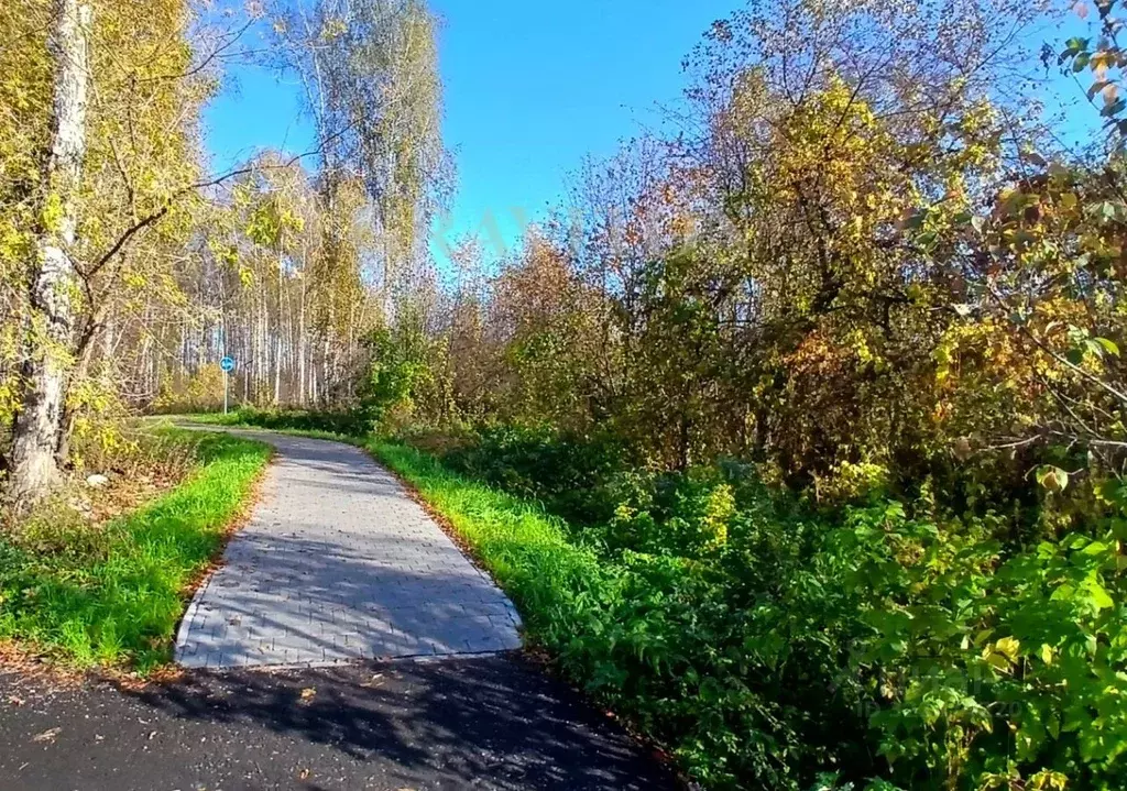 Участок в Алтай, Майминский район, с. Майма ул. Строителей (5.0 сот.) - Фото 2