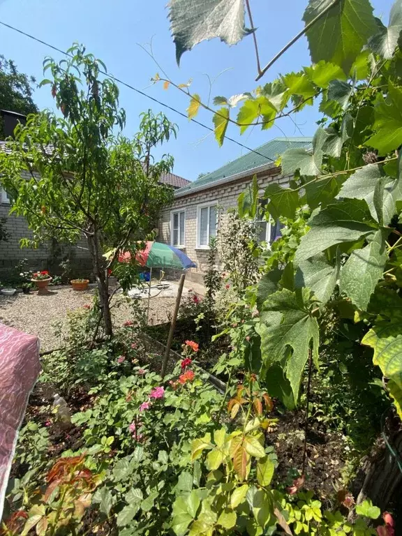 Дом в Ставропольский край, Железноводск городской округ, пос. ... - Фото 2