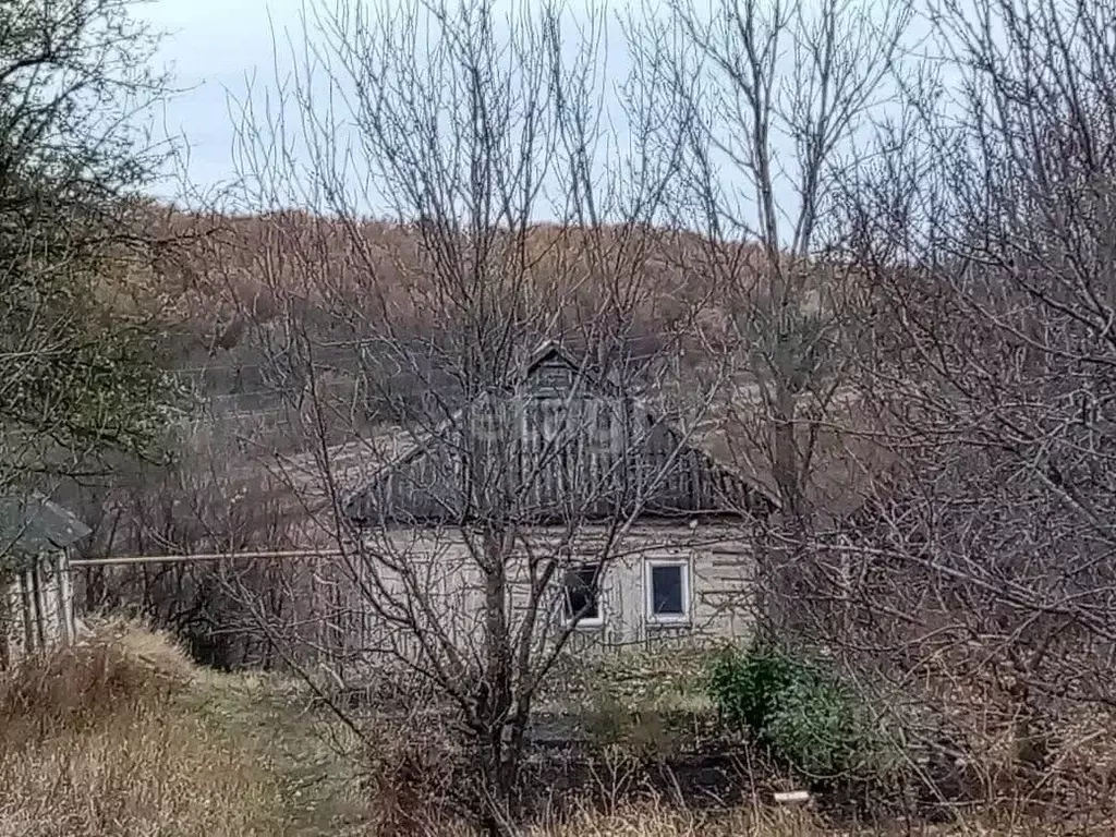 Дом в Белгородская область, Шебекинский городской округ, с. Нехотеевка ... - Фото 0