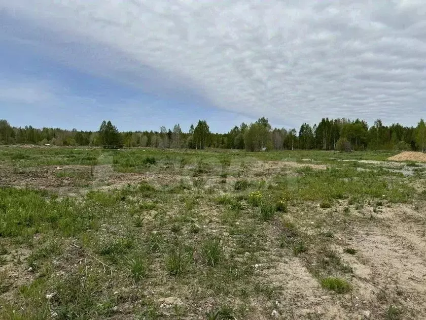 Участок в Тюменская область, Нижнетавдинский район, с. Тюнево  (10.5 ... - Фото 1