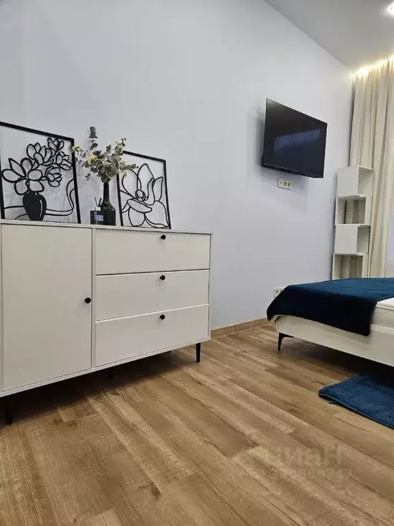 1-к кв. Санкт-Петербург наб. Миклухо-Маклая, 1к1 (35.0 м) - Фото 2
