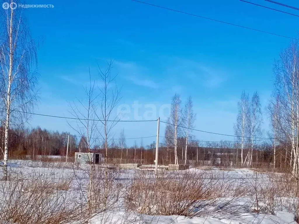 Участок в Ярославский муниципальный округ, дачное некоммерческое ... - Фото 1