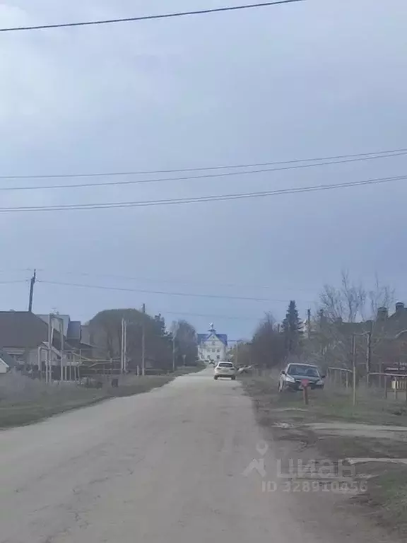 Участок в Самарская область, Ставропольский район, с. Ягодное ... - Фото 2