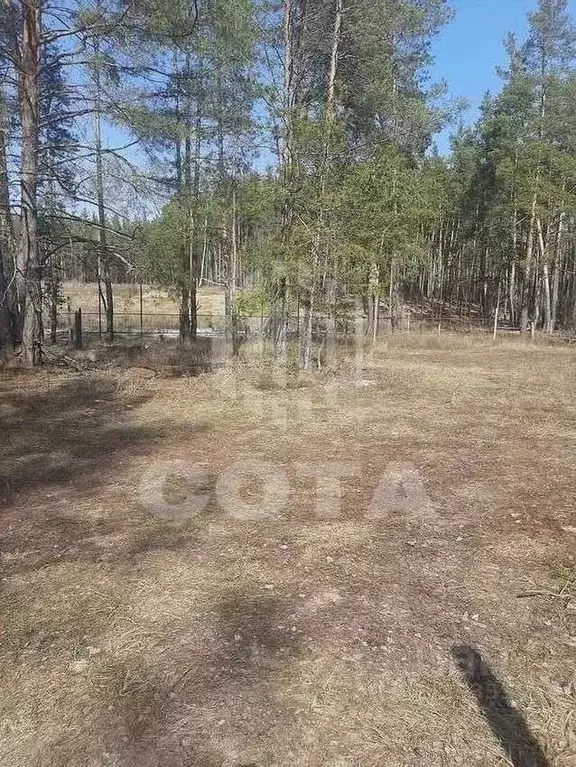 Участок в Воронежская область, Рамонский район, Новоживотинновское ... - Фото 2