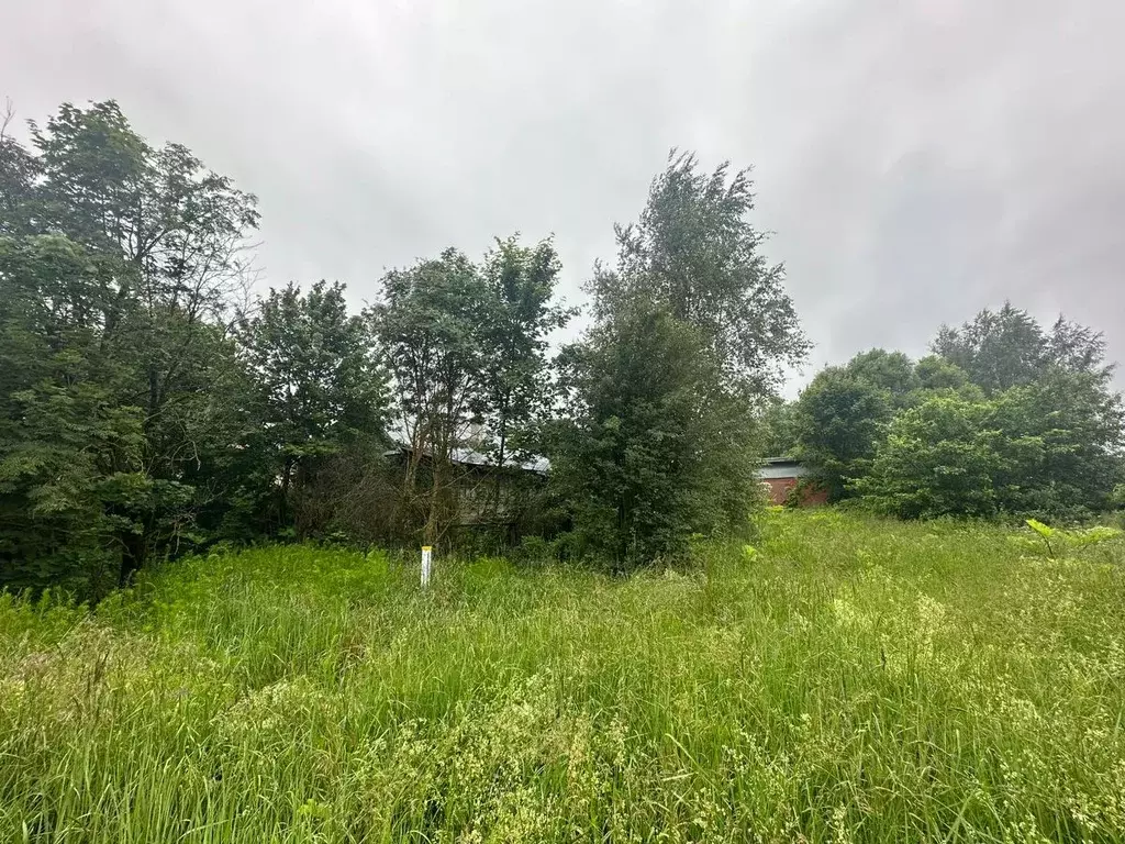 Дом в Московская область, Рузский муниципальный округ, д. Заовражье 12 ... - Фото 2