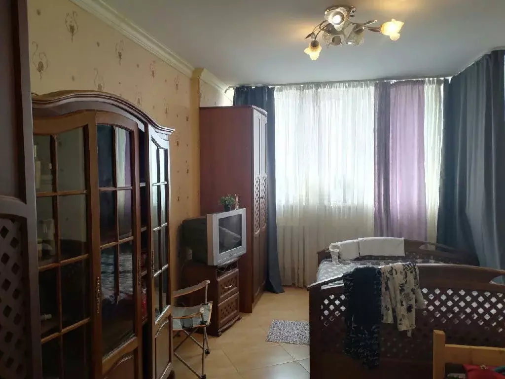 Продается 1-комнатная квартира - Фото 2