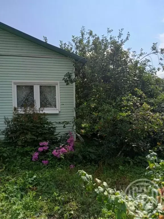 Дом в Ленинградская область, Волосово ул. Восстания, 38 (109 м) - Фото 0