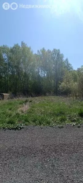 Участок в Дмитриевский сельсовет, СНТ Лесное, 61/1 (6 м) - Фото 2