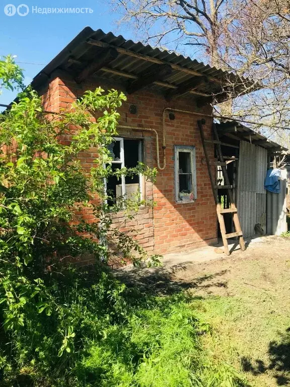 Дом в станица Новодеревянковская, улица Калинина (39.6 м) - Фото 0