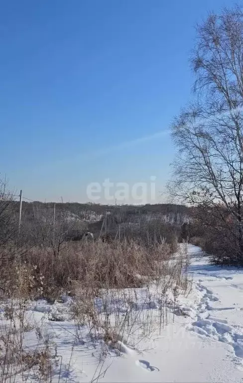 Участок в Амурская область, Благовещенский район, Березка СТ  (10.0 ... - Фото 0
