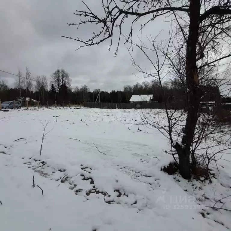 Участок в Владимирская область, Вязниковский район, Сарыевское ... - Фото 1