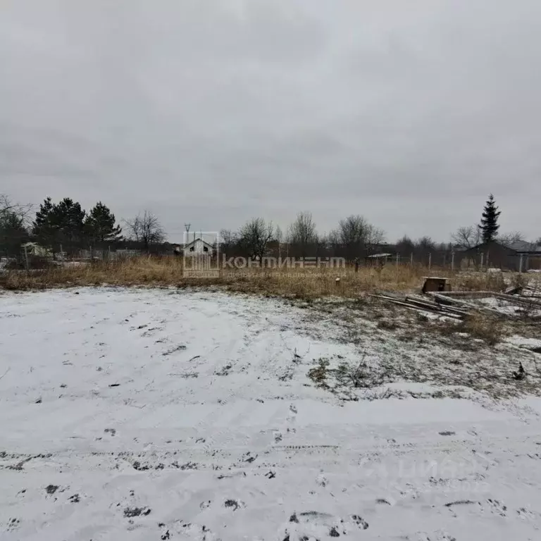 Участок в Владимирская область, Суздальский район, Новоалександровское ... - Фото 1