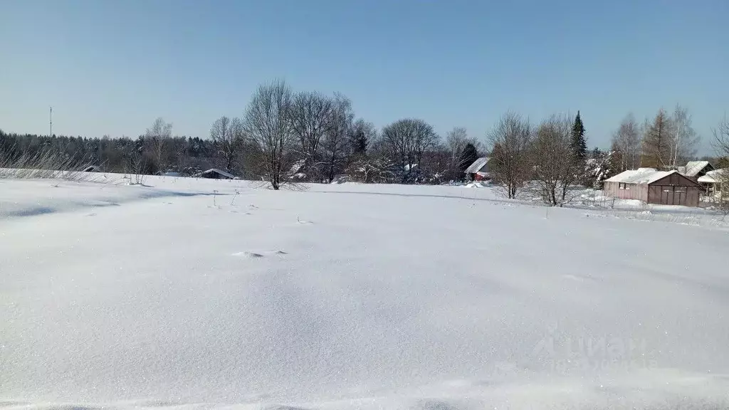 Участок в Московская область, Можайский муниципальный округ, д. ... - Фото 0