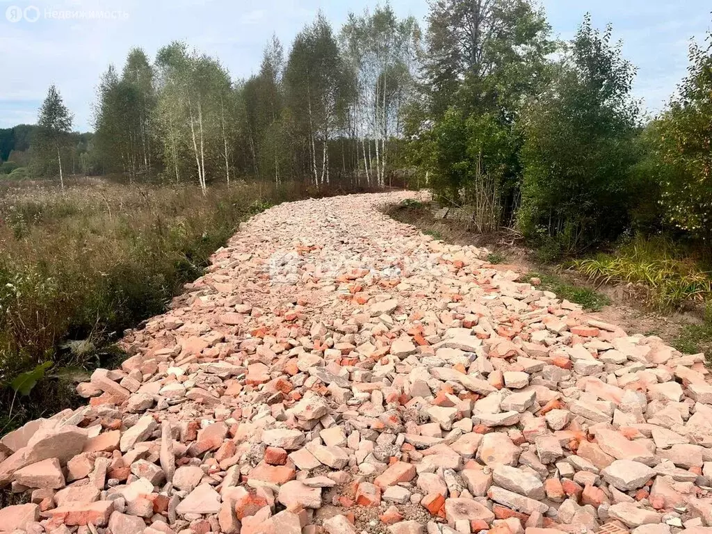 Участок в Московская область, городской округ Пушкинский, деревня ... - Фото 0