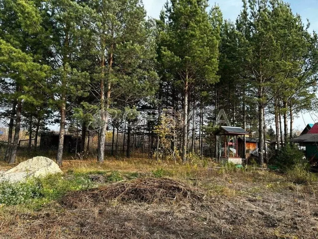 Участок в Тюменская область, Тюменский район, Нива СНТ ул. Светлая ... - Фото 1
