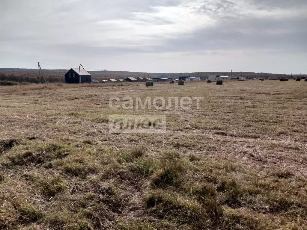 Участок в Сахалинская область, Анивский городской округ, с. Мицулевка  ... - Фото 1