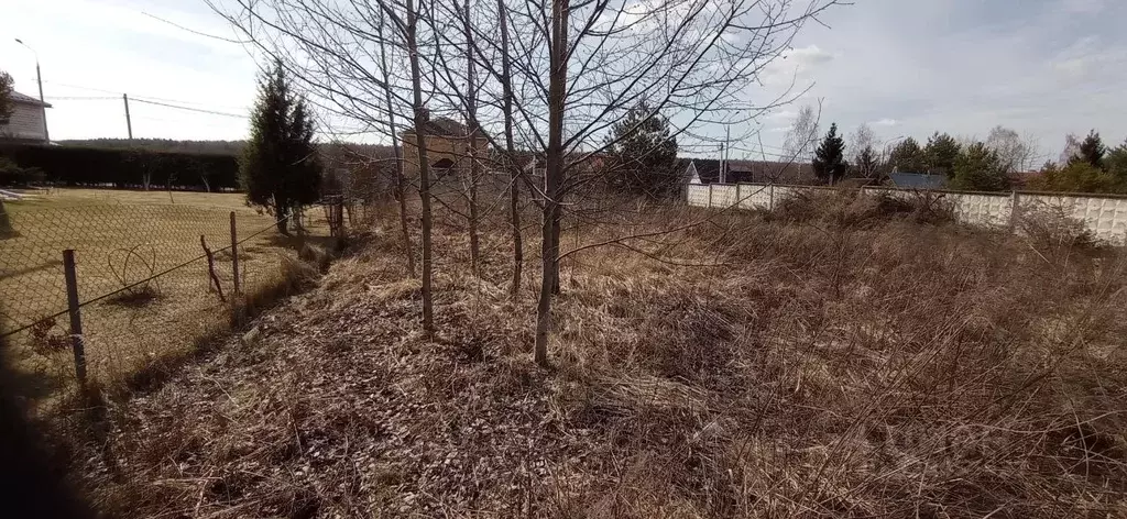 Участок в Москва д. Расторопово, ул. Нижняя, 12 (14.1 сот.) - Фото 1