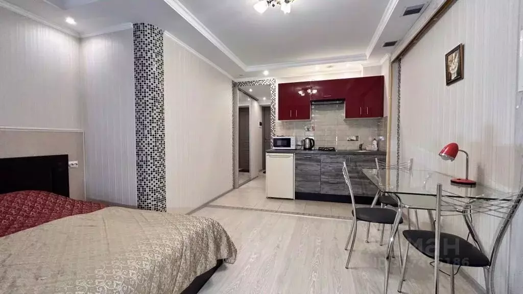 1-к кв. Санкт-Петербург наб. Реки Фонтанки, 32/1 (25.0 м) - Фото 0