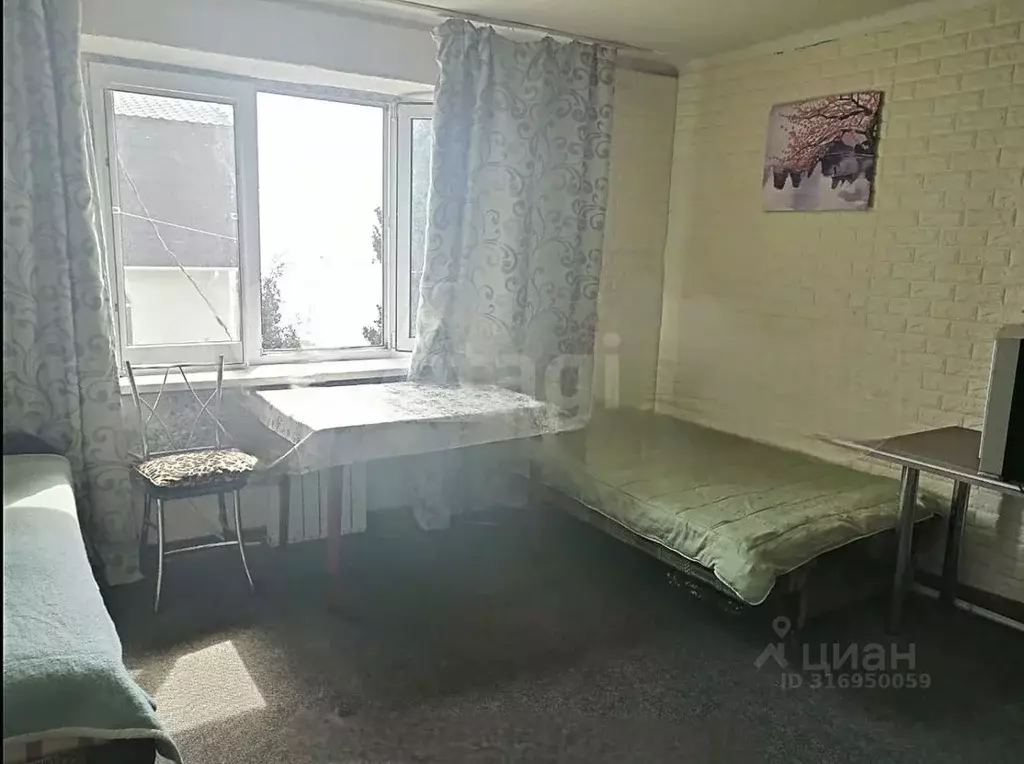 1-к кв. Крым, Ялта городской округ, Гаспра пгт ул. 40 лет Октября, 5 ... - Фото 1