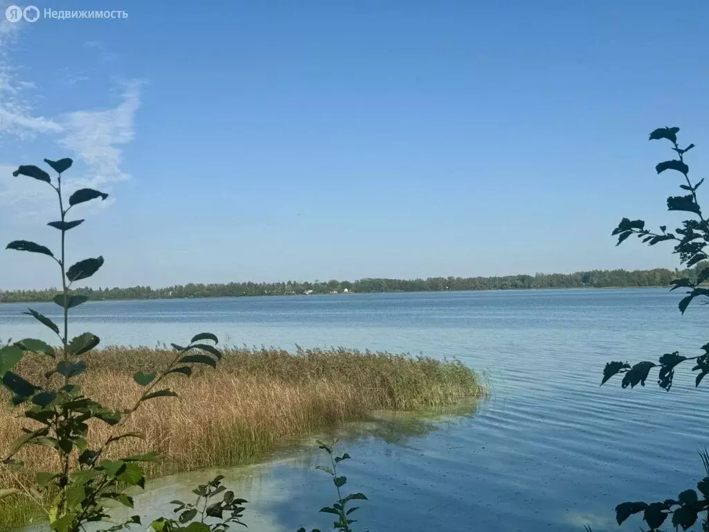 Участок в Скребловское сельское поселение, деревня Домкино (22.3 м) - Фото 1