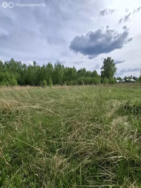 Участок в деревня Верейка, улица Большая Заповедь (12 м) - Фото 0