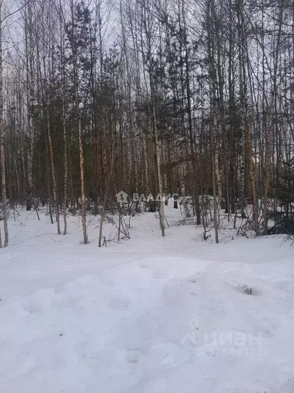 Участок в Московская область, Электрогорск Павлово-Посадский городской ... - Фото 1