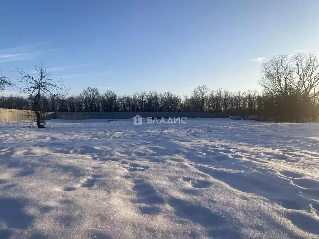 Участок в Московская область, Луховицы муниципальный округ, д. ... - Фото 1