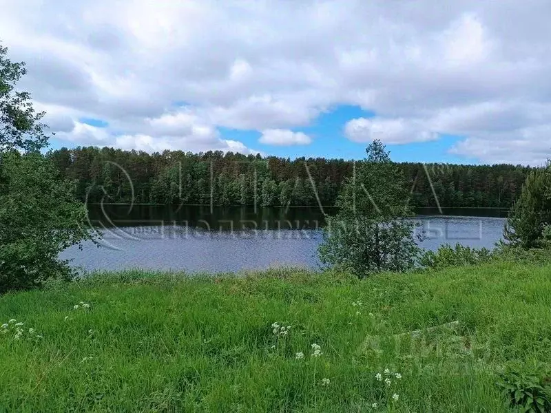 Дом в Ленинградская область, Лодейнопольский район, Янегское с/пос, ... - Фото 1