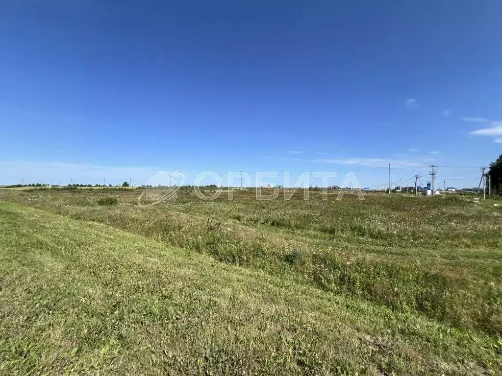 Участок в Тюменская область, Тюменский район, с. Борки  (12039.0 сот.) - Фото 1