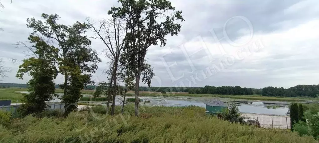 Участок в Воронежская область, Рамонское городское поселение, ... - Фото 2