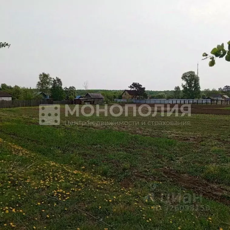 Дом в Амурская область, Серышевский муниципальный округ, с. Бочкаревка ... - Фото 1