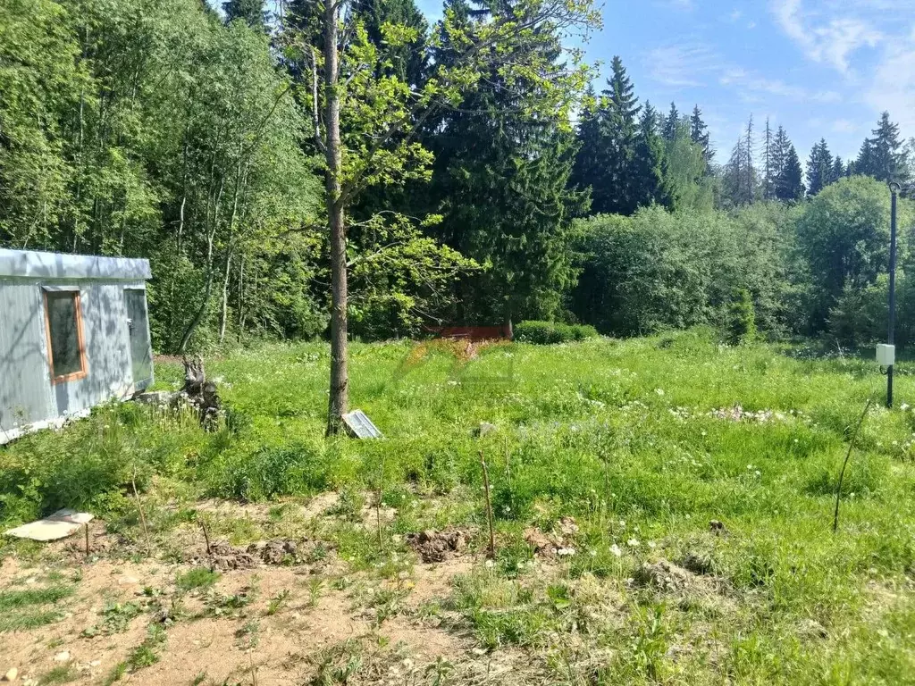 Участок в Московская область, Клин городской округ, д. Денисово  (8.0 ... - Фото 0