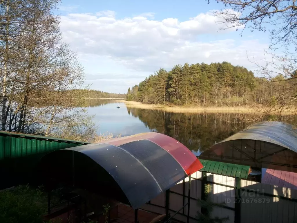 Дом в Тверская область, Осташковский муниципальный округ, д. Заборки  ... - Фото 2