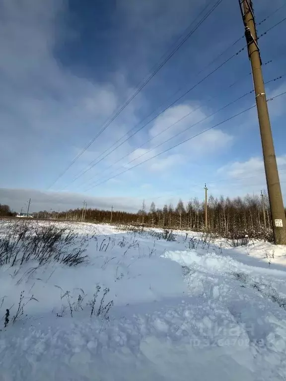 Участок в Калужская область, Боровский муниципальный округ, д. ... - Фото 2