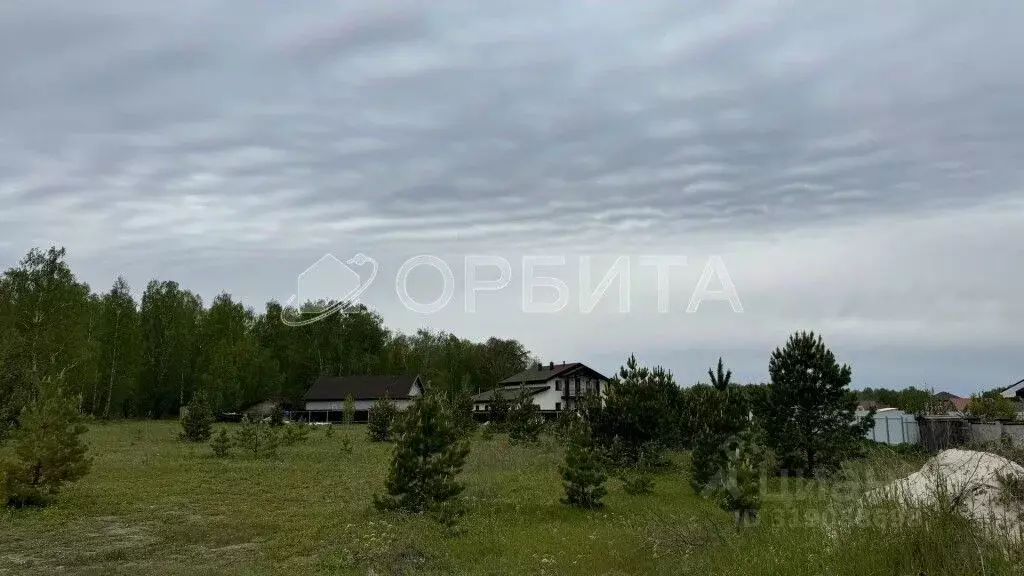 Участок в Тюменская область, Тюменский район, Новокаменский кп ул. ... - Фото 1
