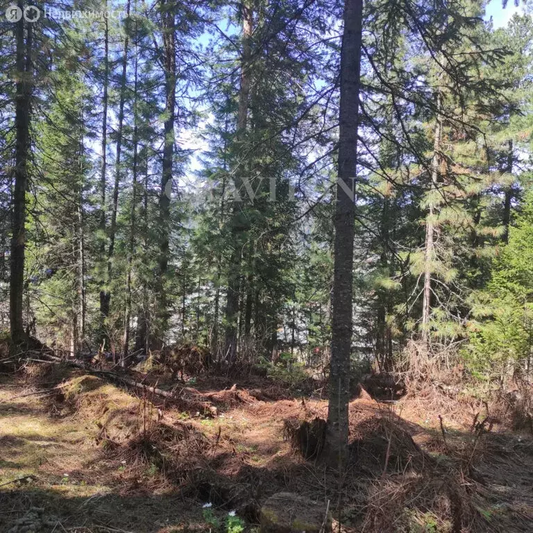 Участок в село Иогач, Лесная улица (12.65 м) - Фото 1