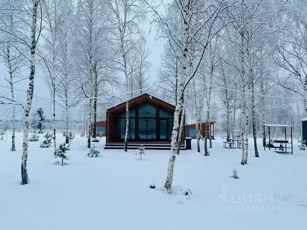 Дом в Московская область, Орехово-Зуевский городской округ, Песчаная ... - Фото 2