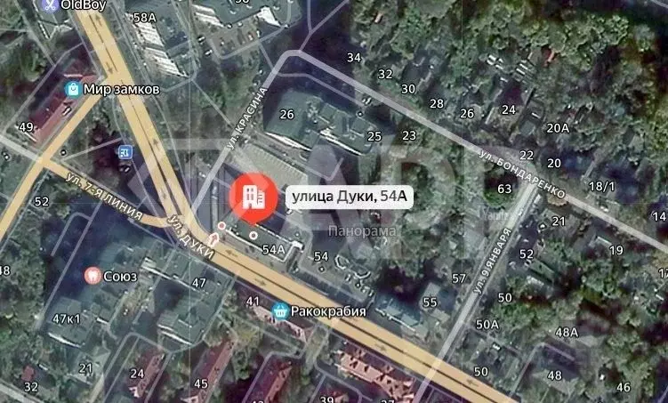 Помещение свободного назначения в Брянская область, Брянск ул. Романа ... - Фото 2