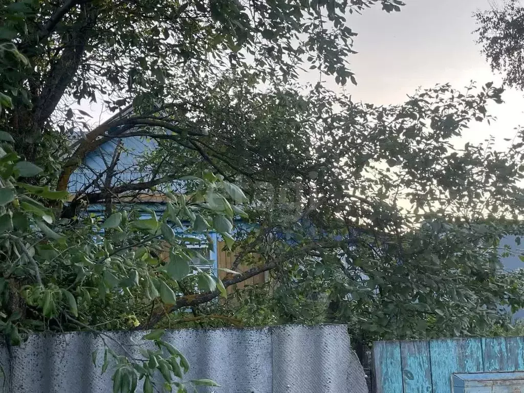 Дом в Мордовия, Кадошкино рп ул. Пушкина, 50 (45 м) - Фото 1